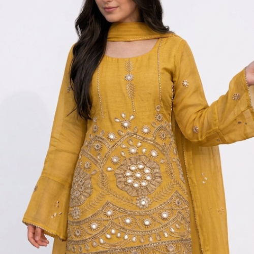 Salwar suit for women